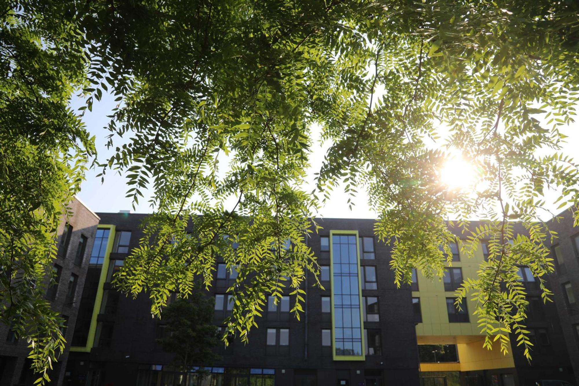 Goldcrest Village Apartments University Of Голуэй Экстерьер фото